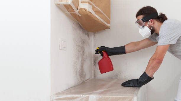 Professional Attic Mold Remediation technician working in Panama City, FL