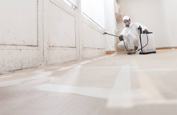 24/7 Emergency Attic Mold Remediation experts in Panama City, FL